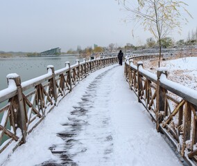 walking in the snow