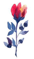 Watercolor red and pink abstract flower with blue leaves isolated on white background. Art creative hand-drawn object for sticker, wallpaper, textile, wrapping