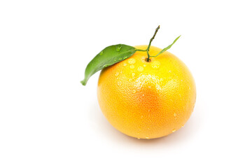 Ripe fresh grapefruit with leaves in dew drops isolated on white background. Сopy space on a white background.