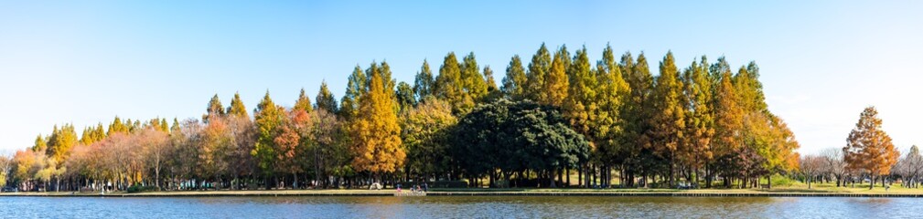 Fototapeta premium (東京都ｰ風景パノラマ)青空とみさと公園の風景２