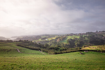 Landscape of region Whitford New Zealand