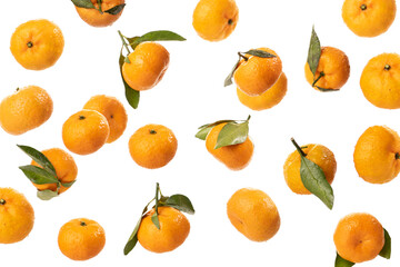 Falling mandarins on white background