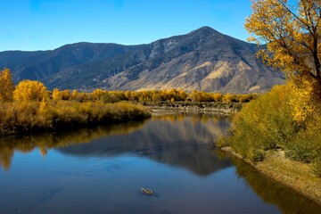 Fototapeta na wymiar Fall colors reflection in Carson River, Nevada