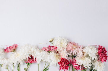 Floral pattern with white and pink flowers on white background.