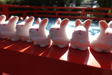 岡崎神社のウサギ