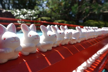 岡崎神社のウサギ