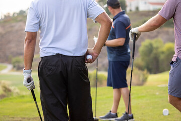 golf, male bonding, good times, competition, golfer, golf ball, friends, sport, business meeting, bond, fun, weekend, male, clothes, mens fashion, fashion, activity, swing, club, play, grass, athlete,