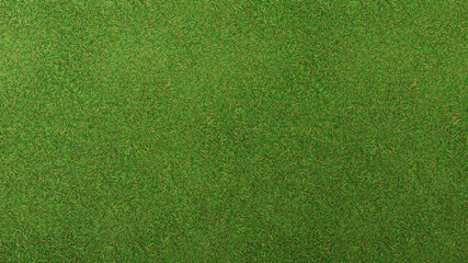 Texture of grass background closeup