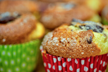 Chocolate chip muffins fresh from the oven. Macro with shallow depth of field