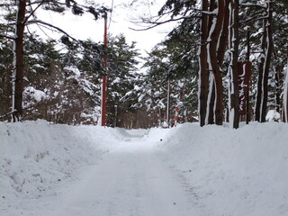 除雪後の雪道