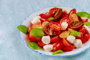 Vegetarian salad with mozzarella cheese on white plate.