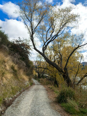 Tucker Beach Trail, Queenstown Area, New Zealand