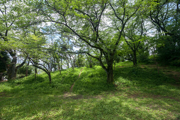 梶ケ谷第1公園（神奈川県川崎市高津区）
