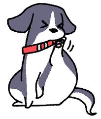 体がかゆい小型犬（黒白色）