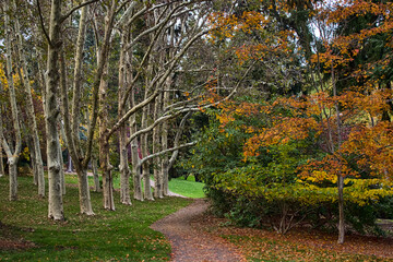 Autumn walk path in Lithia park, Ashland, Oregon