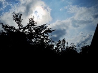 Landscape of Jeju Island