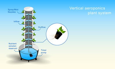 Vertical aeroponics plant system realistic detailed vector.