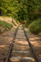 old abandoned Train Tracks in Forest stock photograph image