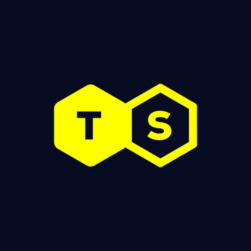 TS Letter Initial Logo and Icon for Business Branding and Website Editable Vector and Website Favicon Design Unique Modern Logo Version