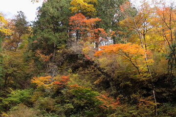 日本　群馬の紅葉