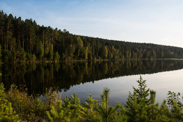 A beautiful view by the lake during sunset on a summer evening. Beautiful forest around