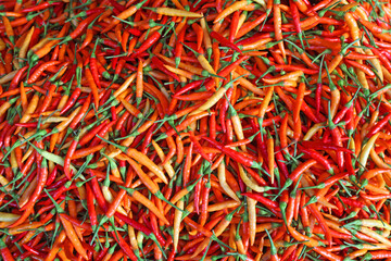 Fototapeta premium Spicy red chillies in a traditional market.