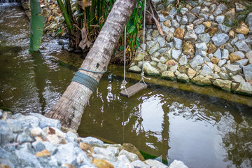 The close background of the green rice fields, the seedlings that are growing, are seen in rural areas as the main occupation of rice farmers who grow rice for sale or living.