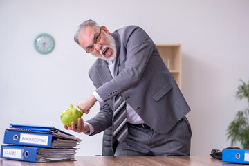 Old male aggressive bookkeeper in budget planning concept