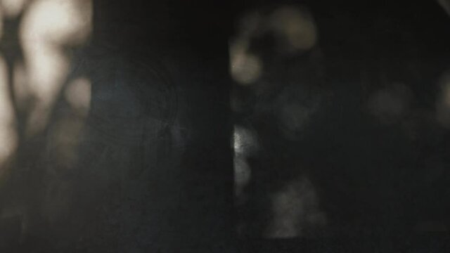 Dark black mysterious back, reflections of tree branches on a wall. Abstract blurry background.