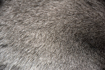 texture