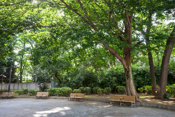 下馬中央公園（東京都世田谷区下馬）