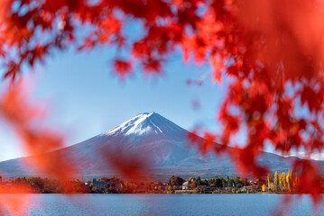 Fuji Mountain and Red Maple Leaves in Autumn at Kawaguchiko Lake, Japan