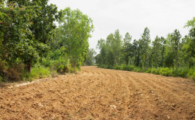 A field with ridges and furrows that has just been planted with potatoes.