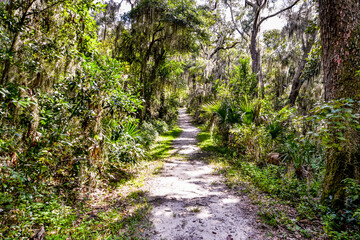 Obraz premium Timicuan Ecological and Historic Preserve Trails