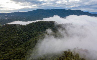 fog and clouds with mountain. Top View
