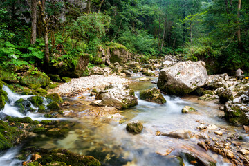 River deep in mountain forest. Nature composition