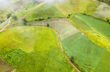 Mountain view from doi maetho chaimg mai thailand. Top view