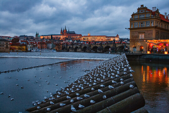 View of Prague on the Danube river in the evening
