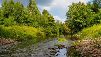 Fototapeta premium A stormy river with rapids in the middle of the forest. Unique natural locations far from civilization.