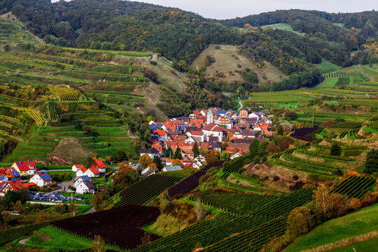 Schellingen im Kaiserstuhl