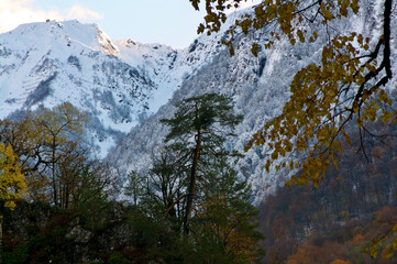 snow covered mountains