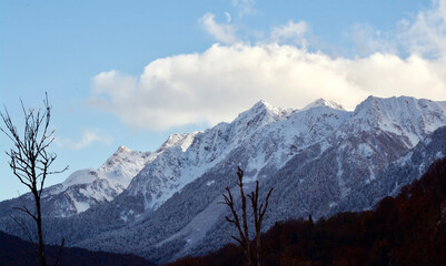 snow covered mountains