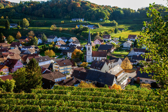 Bickensohl im Kaiserstuhl