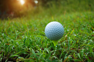 Golf ball on tee in the evening golf course with sunshine background.