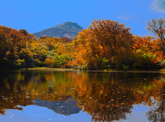 鳥海山と紅葉の善神沼の風景	