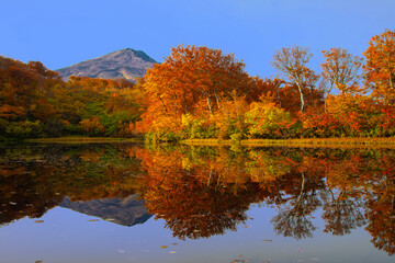 鳥海山と紅葉の善神沼の風景	