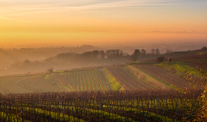 Sonnenuntergang in der Ortenau bei Kippenheim