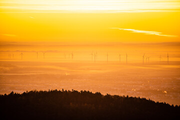 Naklejka premium Sunrise in the rhine valley