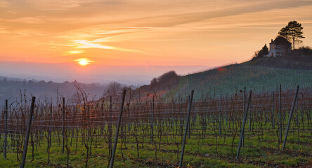 Obraz premium Sonnenuntergang in der Ortenau bei Kippenheim