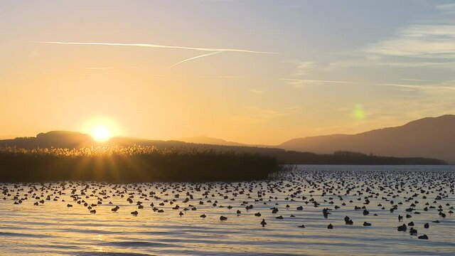 Coucher de soleil sur le lac aux oiseaux